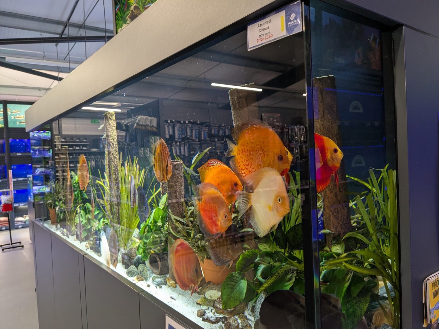 aquaja_plantersbretby016