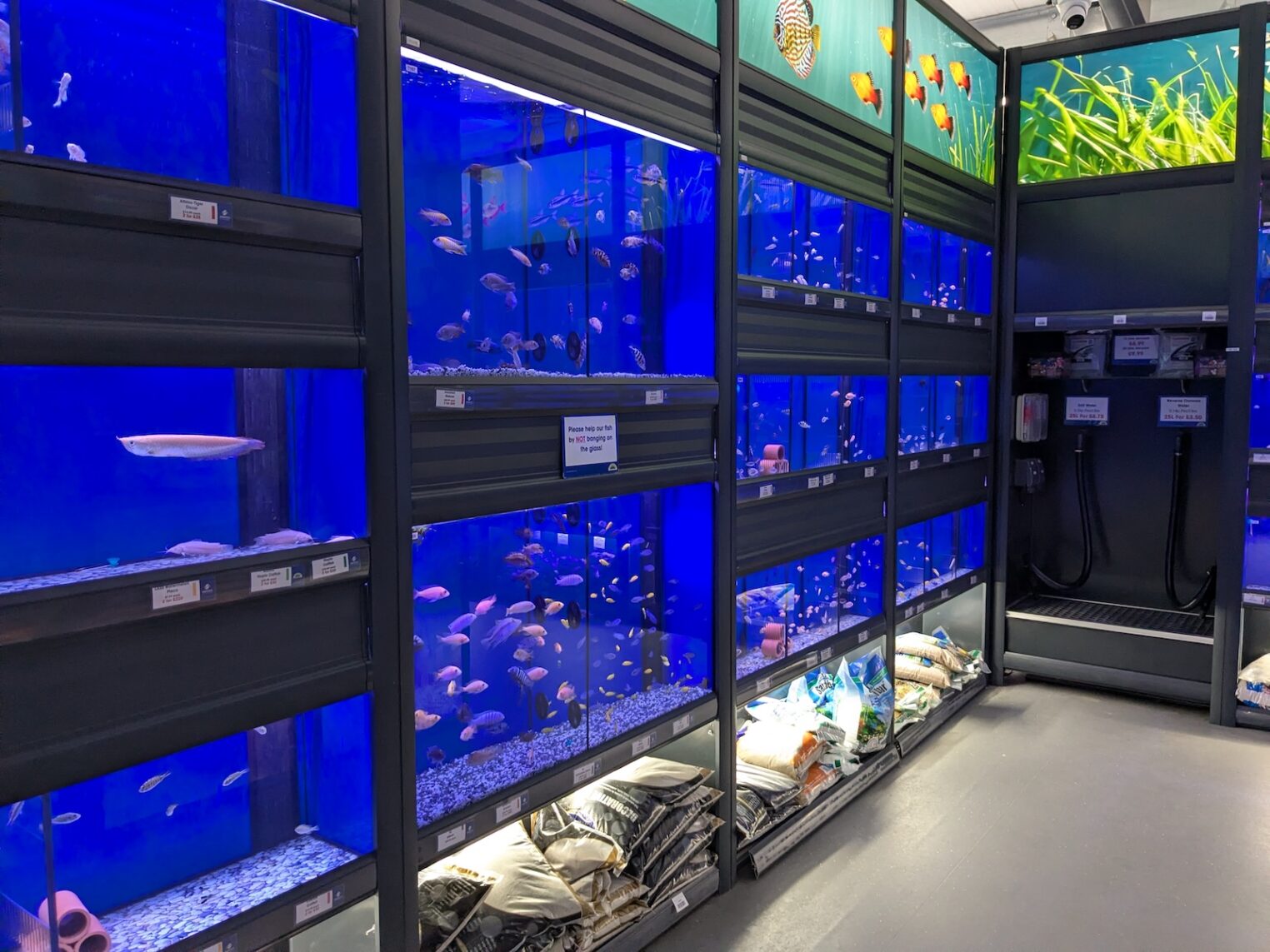 aquaja_plantersbretby017