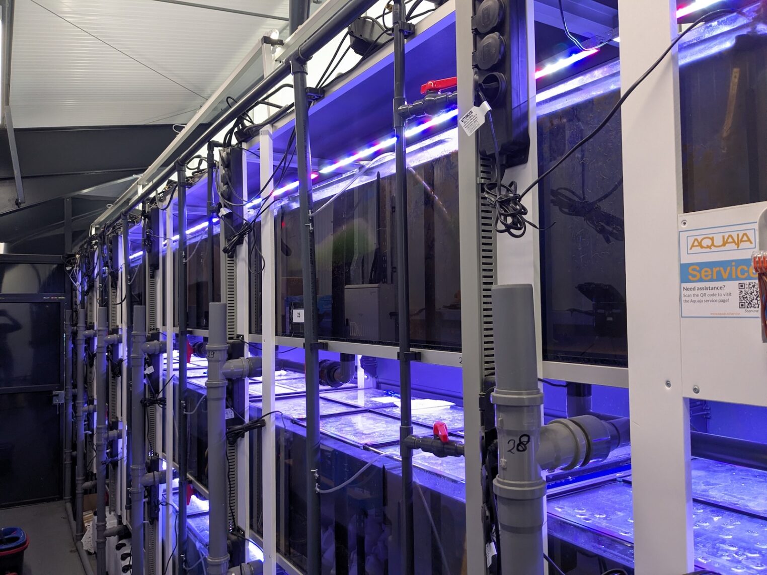 aquaja_plantersbretby03