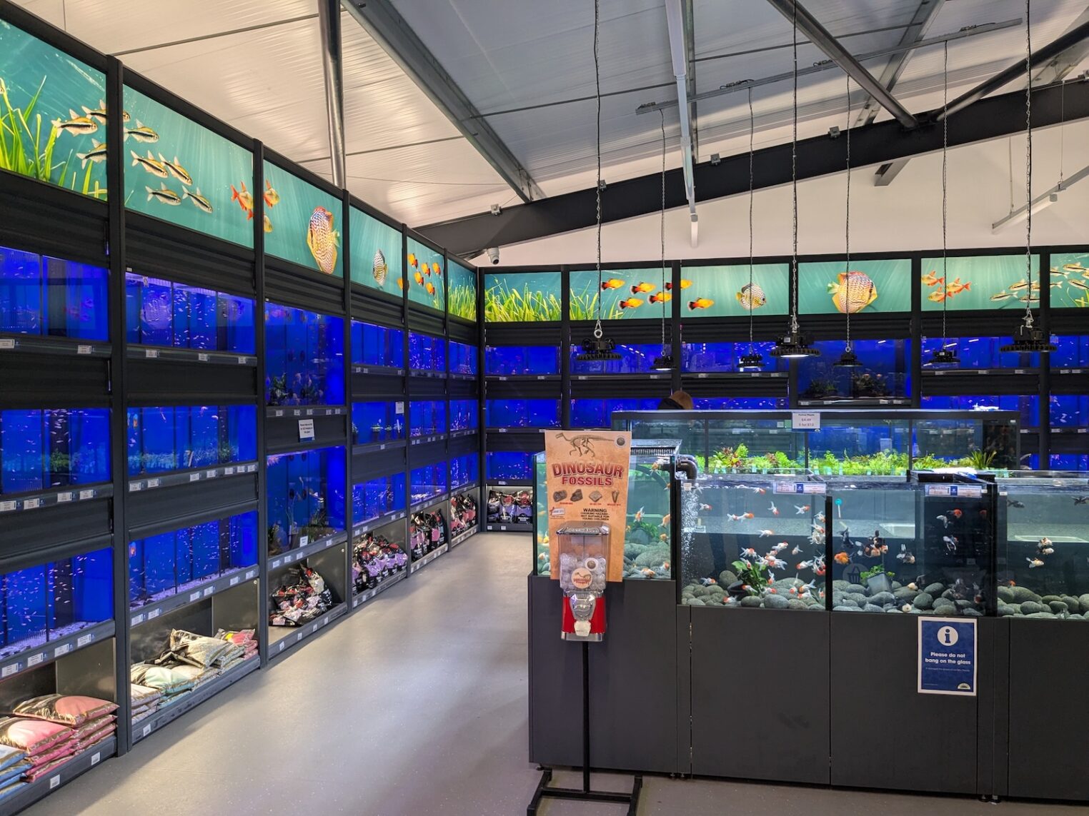 aquaja_plantersbretby08