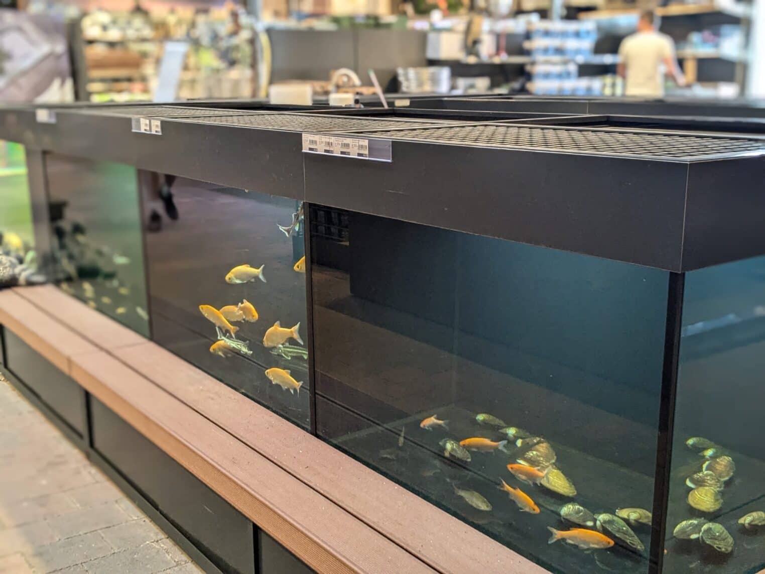 aquaja_tcrijmenants04