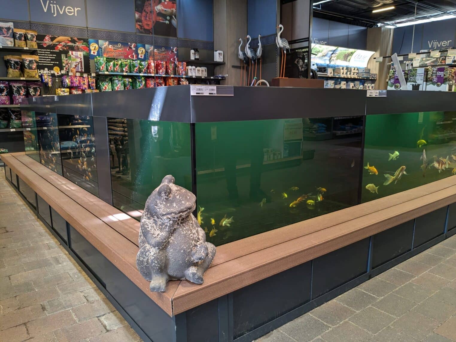 aquaja_tcrijmenants08