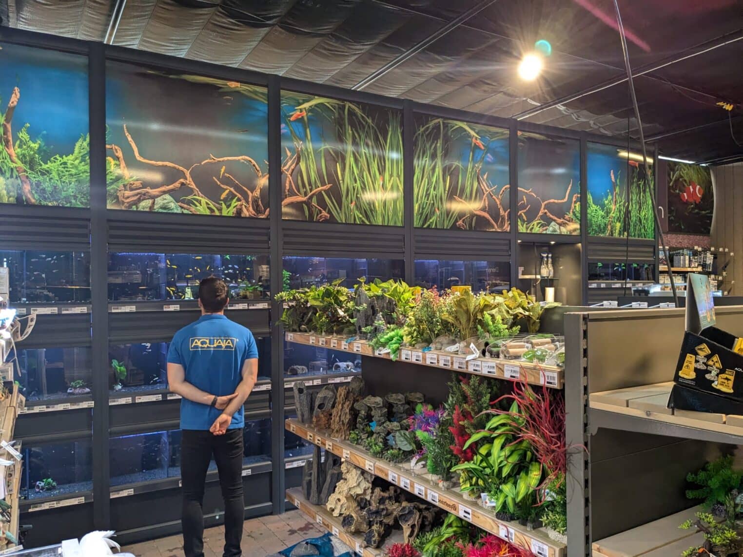 aquaja_tcrijmenants09